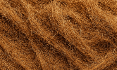 Coir Audits in Southern India: Next Steps for RSS Members