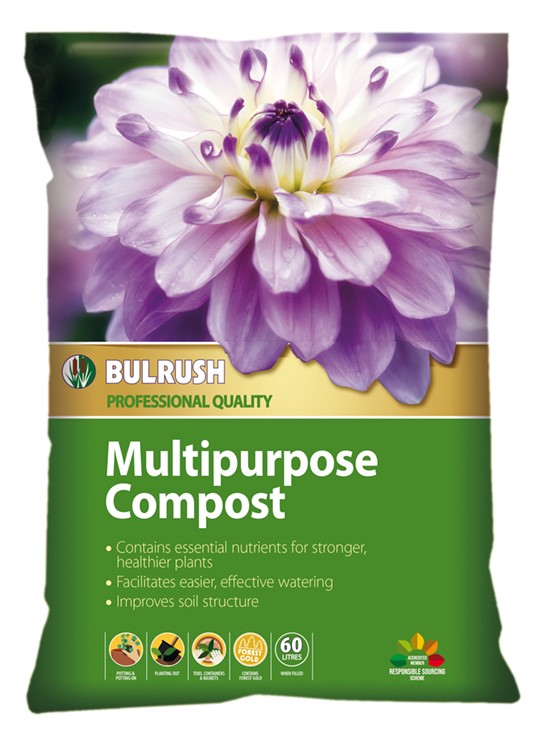 Bulrush Multipurpose