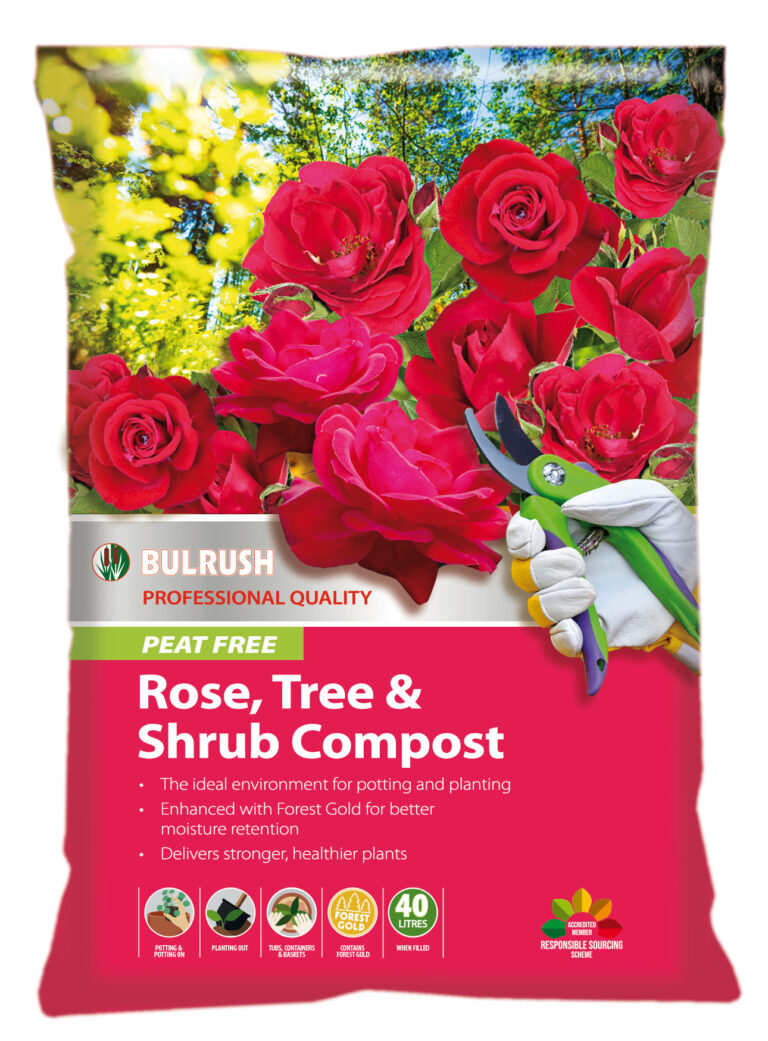 Bulrush Peat Free Rose Tree & Shrub