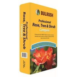 Bulrush Rose Tree & Shrub