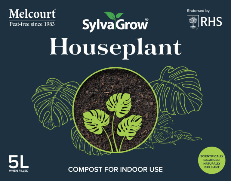 SylvaGrow Houseplant